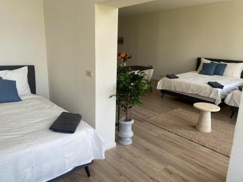 Cozy and best location! 6 person, Róterdam (foto 5)