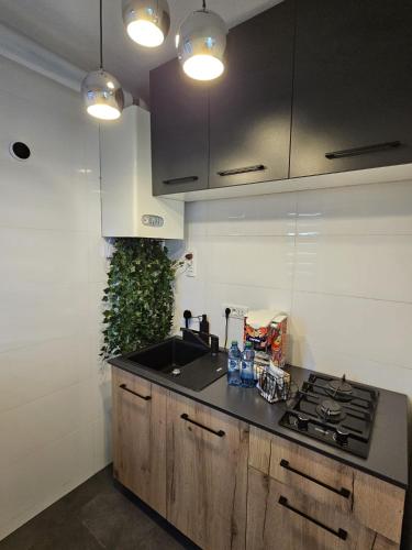 Radu's Room in 阿爾傑什河畔庫爾泰亞