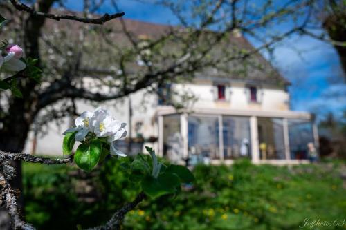 le Domaine de Bos