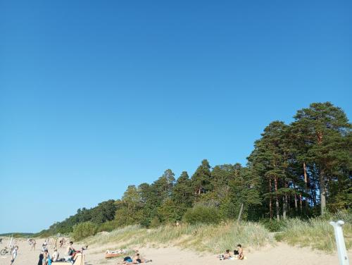 Studio Apartment in Narva