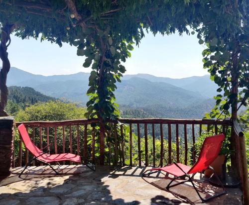 Gîte du Petit Sourel et sa vue panoramique gîte à louer Saint-Roman