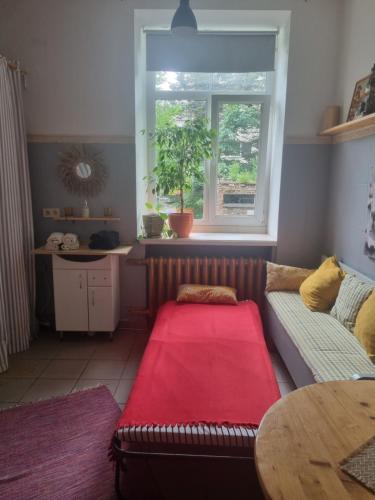 CAMELLIA STUDIO apartment & parking, Riga (photo 6)