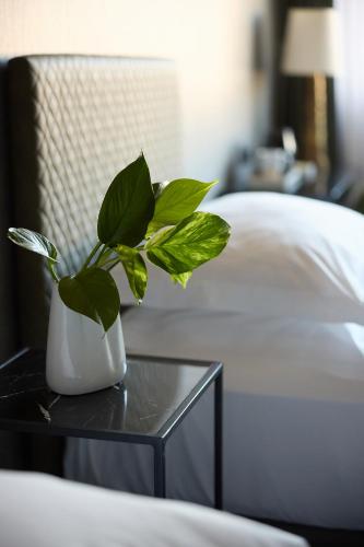 President Hotel Athens, Atény (fotografie 9)