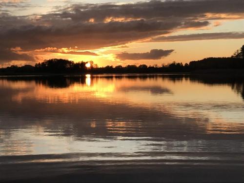 Cisy Resort II-idealny dla gości ze zwięrzętami,ogrodzony teren na wyłączność,150 m od jeziora (Cisy Resort II-idealny dla gosci ze zwierzetami,ogrodzony teren na wylacznosc,150 m od jeziora) in Lisewo