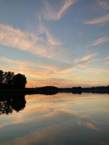 Cisy Resort II-idealny dla gości ze zwięrzętami,ogrodzony teren na wyłączność,150 m od jeziora (Cisy Resort II-idealny dla gosci ze zwierzetami,ogrodzony teren na wylacznosc,150 m od jeziora) in Lisewo