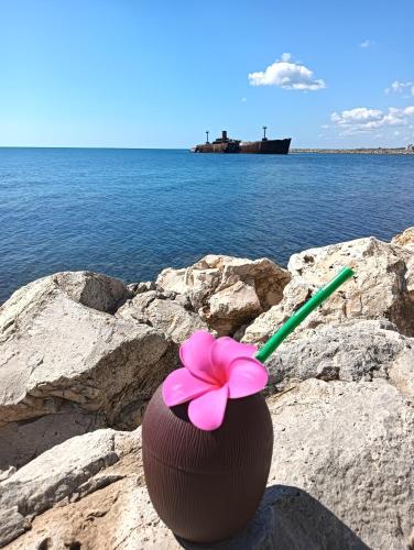 Studio Relax Costinești (Studio Relax Costinesti) in คอสติเนสตี