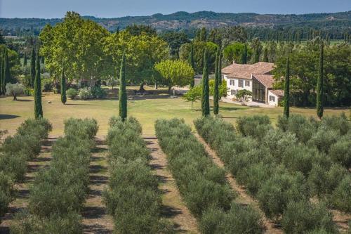 DOMAINE DE FONTBELLE au coeur d'une Oliveraie - Location, gîte - Graveson