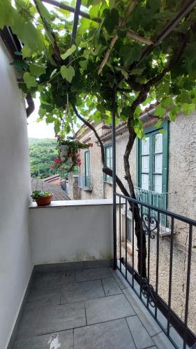 Вид, Selice 9 B&B in Торторелла