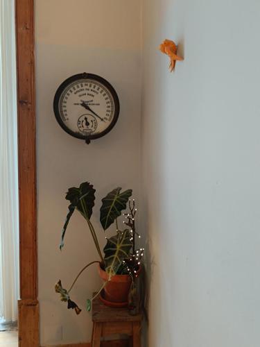 Goodnight Hostel – Lisbon, NY