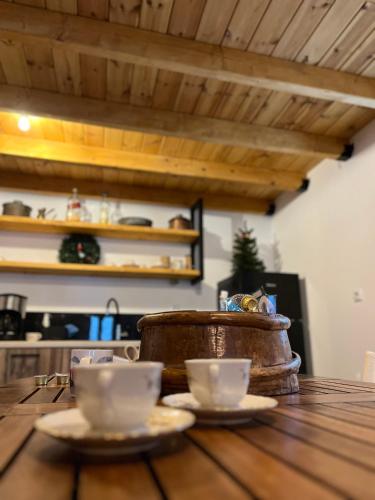 Konstantina 2 in Zarouhla