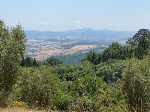 Casale in Maremma Podere Marino, Scansano (Foto 2)