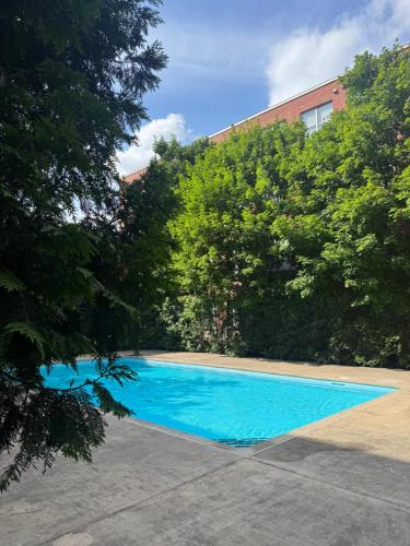 Spacious Condo with a Bright Interior in LaSalle