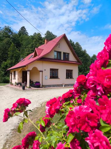 Viesnīcas āriene, Agroturystyka - POD DWOREM in Arłamów