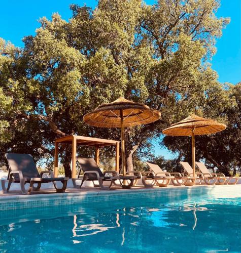 Casa Portus - Turismo Rural gîte à louer Hortas e Moinhos