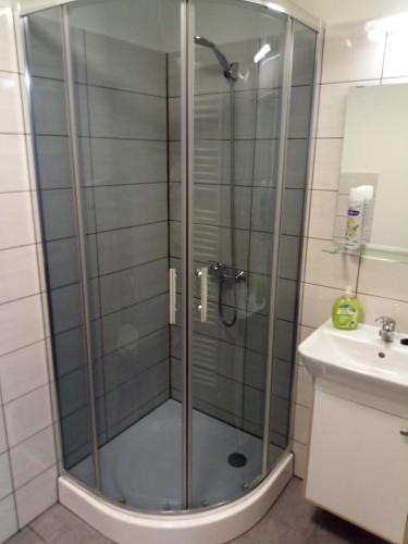 Apartmany pod Lipami - Harrachov in Harrachov