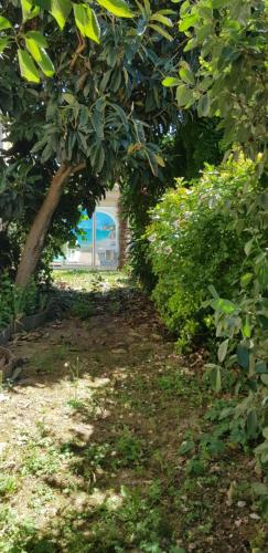 Garden, Sainte Maxime in L'Union