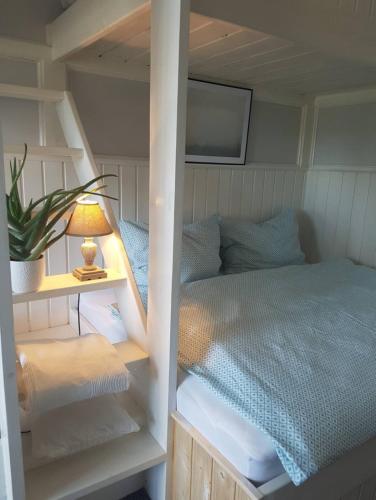 Summertime Suites
