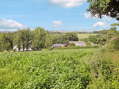 Viesnīcas āriene, Dove Cottage in Stoke Climsland