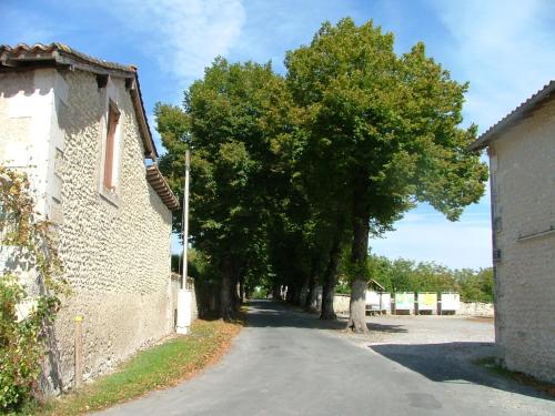 Le Petit Lavoir