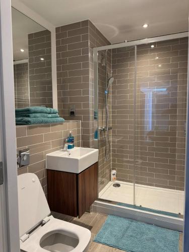 Beautiful 2Bedroom Apt near Birmingham City Centre, Birmingham (foto 6)