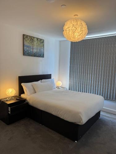 Beautiful 2Bedroom Apt near Birmingham City Centre, Birmingham (foto 5)