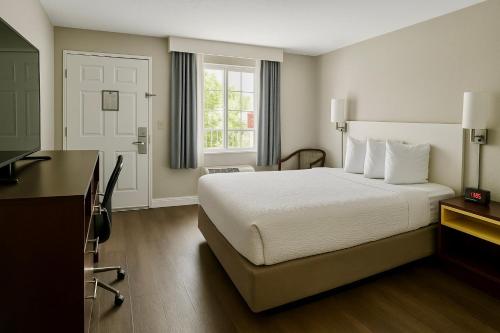 1 queen bed