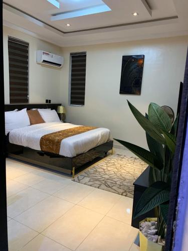 Studio luxury apartment, Mama