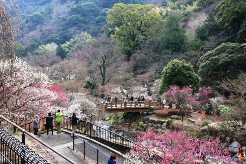 Nearby attraction, Apt熱海 in Izusan