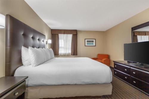1 queen bed