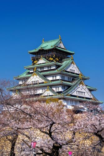 NEW OPEN E-NA gesthouse USJ 難波10分 最寄駅3分 甲子園球場直通 大阪ドーム5分의 호실사진