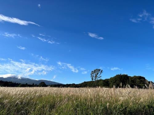 araiya, Nasu (foto 8)
