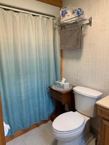 Peaceful Cayuta Lake Cottage with early check in in Montoras ūdenskritumi (NY)