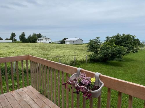 Le Campagnard in มาเทน (QC)