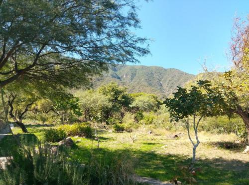 Finca de montaña agua Gracian (Finca de montana agua Gracian) in La Carrera