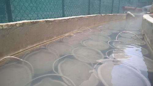 Hotel Terme Belvedere - image 7
