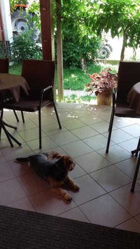Bed and Breakfast Kreft - image 10