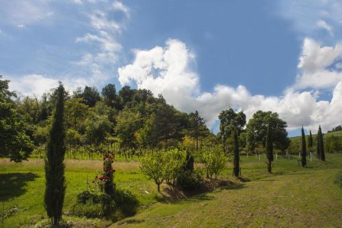 Agriturismo Il Cavicchio