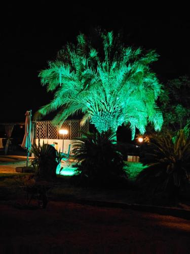 B&B Finca la Yuca "Un paraíso en Ontinyent" 4
