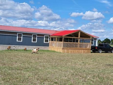 Farm stay with activity in 科默斯