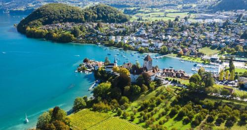 BERG & BERG Apartments - Spiez Self-Check-in, Spiez (zdjęcie 5)