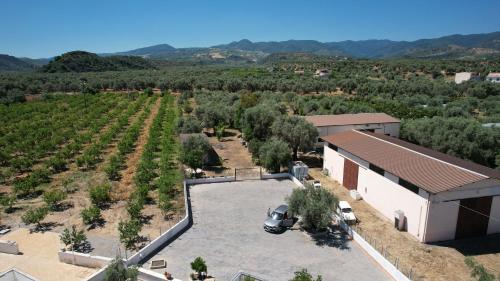 สวน, Maresila in ราสซาโน