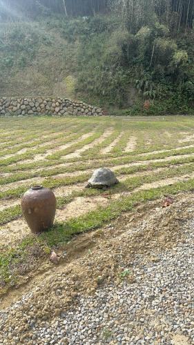 龜在銅三 in Okraj Tongluo