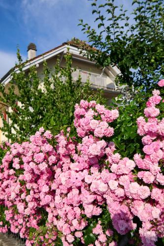 B&B perron13 - image 13