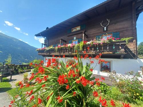 Stefflhof Mittersill in Mittersill, Österreich