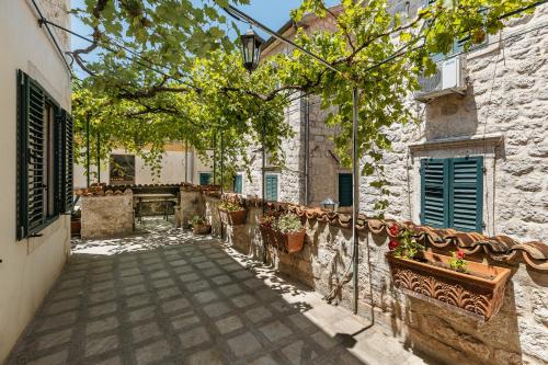 Apartments Leo - image 8