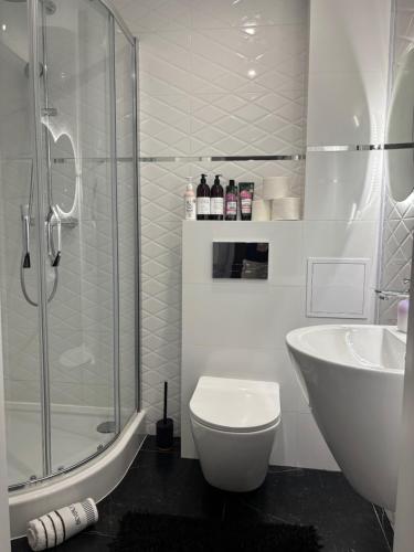 Apartament Rodzinny - Classic Olszowa