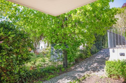 Wohnung in Loschwitz mit Parkplatz, Drážďany (fotografie 10)