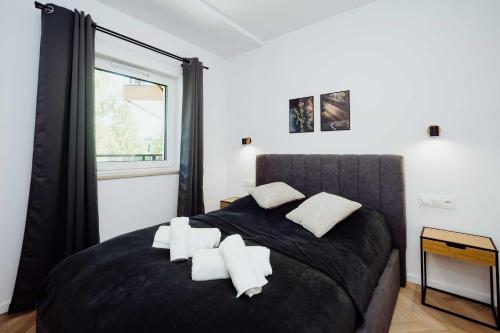 Dolina Szczęścia Apartamenty Pine - Dream Apart, Szklarska Poręba (foto 4)