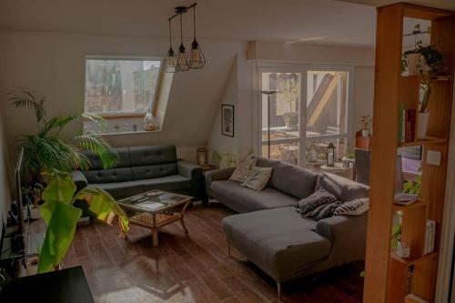 Paul Reiss, Strasbourg (photo 10)