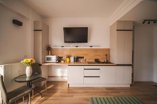Modern Apartment in Historic City Center Old Town Bratislava, Bratislava (fotografie 2)